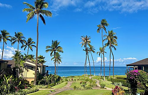 Wailea Elua # 1401