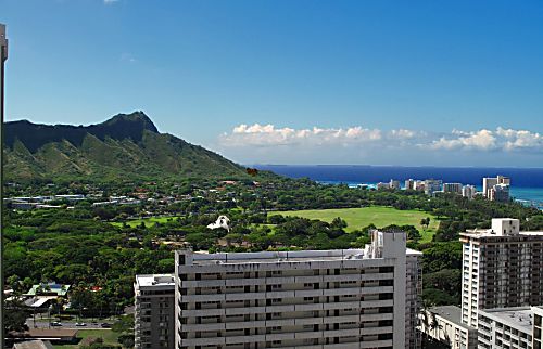 Waikiki Banyan #3401-I