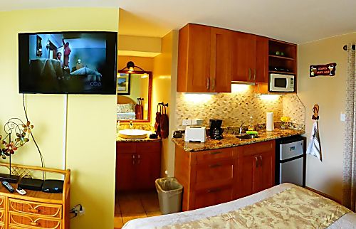 Kuhio Village rental condo