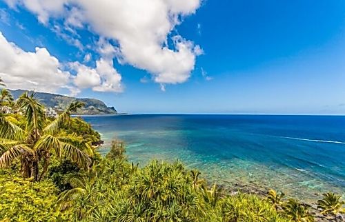 Honu Hideaway @ Pali Ke Kua