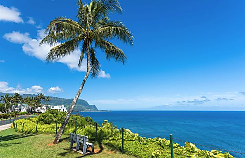 Plantations at Princeville #1312