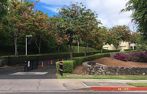 Fairway Terrace Waikoloa, Hi