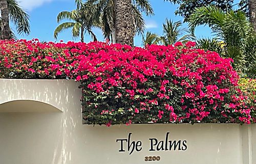 The Palms at Wailea 1301