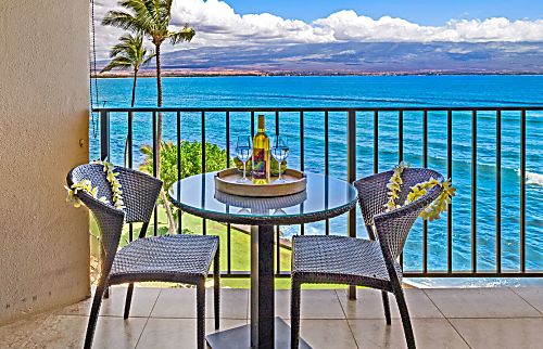 Today...Tonight...Turtles...Turtles...Turtles!
