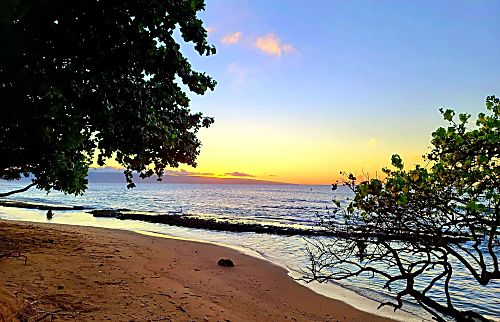 Honokowai Palms rental condo
