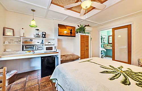 Sheffield House Ginger Studio