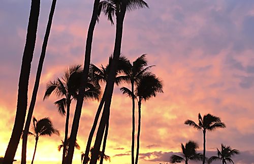 Kanai a Nalu 2nd Floor Rental