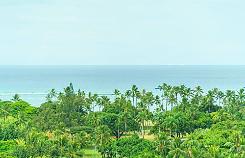 Luana Waikiki (LW14)