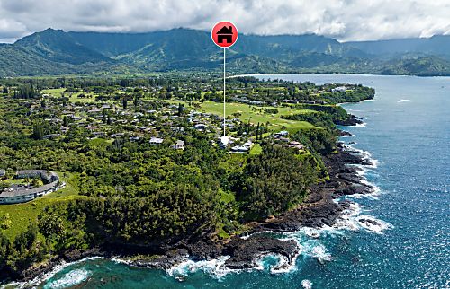 Whale Hale - Punahele Bluff
