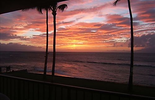 Papakea Resort Condo L204