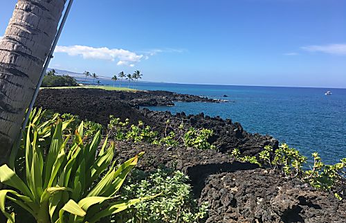 Halii Kai #9B - ground floor