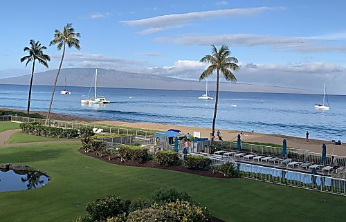 The Whaler Unit #313