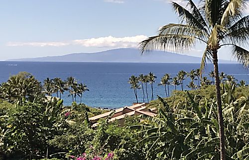 Ekahi Condo Rental
