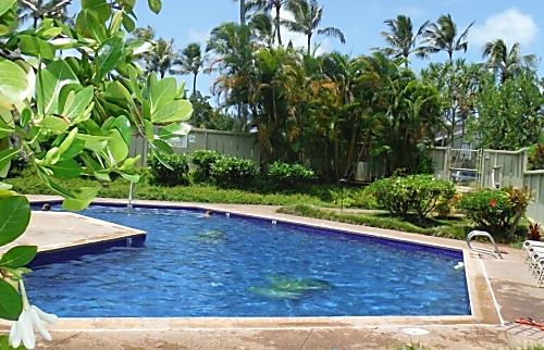 Elegant Resort Hideaway