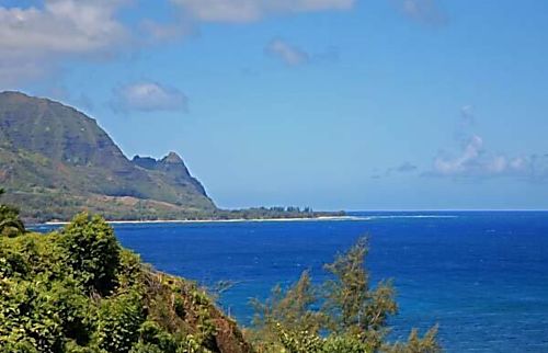 Puu Poa rental condo