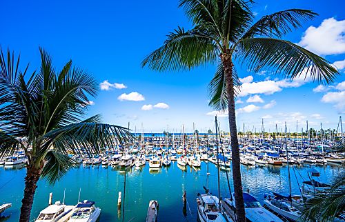 Ilikai Marina rental condo