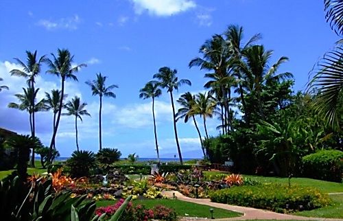 Waiohuli Beach Hale 111