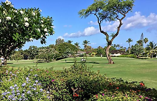 Grand Champions #157