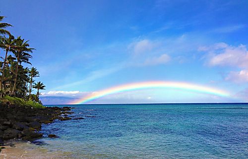 Kaanapali Shores 646