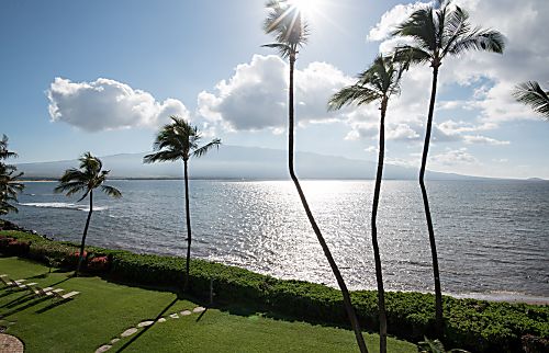 Ma'alaea Banyans with Haleakala Views