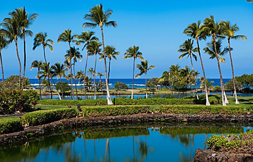Mauna Lani Terrace D201