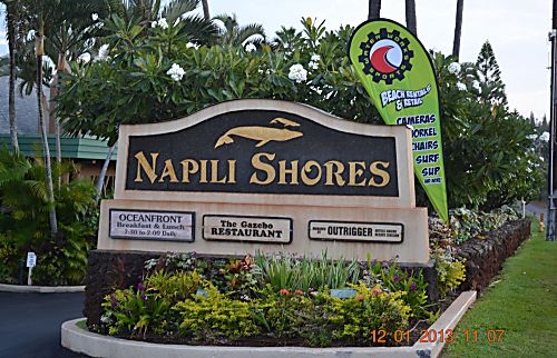Napili Shores Condo