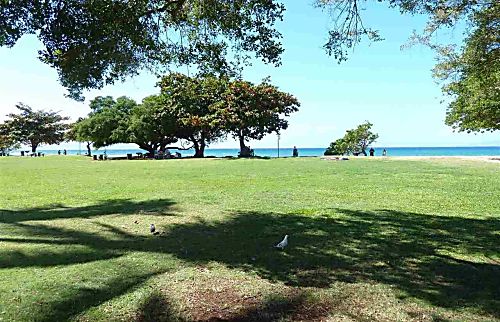 Honokowai Palms rental condo