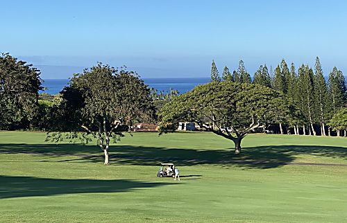 Kapalua Golf Villas Vacation Rental