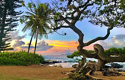 Lae Nani Condo unit 426 