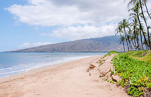 Kihei Sands A1