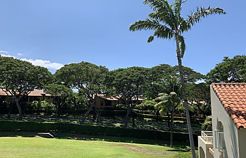Palms at Wailea 1802