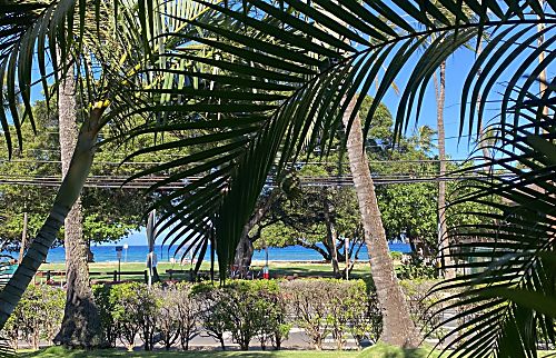 Honokowai Palms rental condo