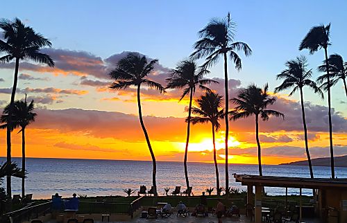 Sugar Beach Resort 208