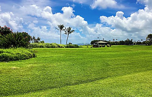 Kamahana rental condo