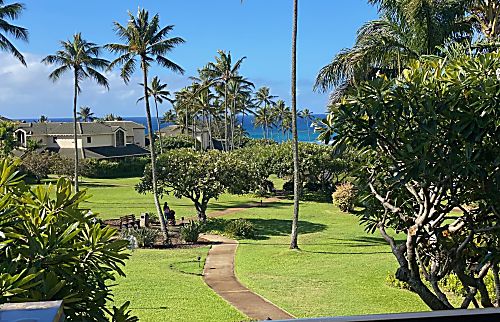 Kahala #621