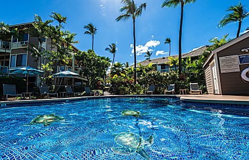 Grand Champions Rental