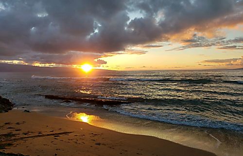 Pikake 1st Floor Beachfront Condo