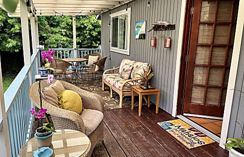 Chic Rainforest Retreat