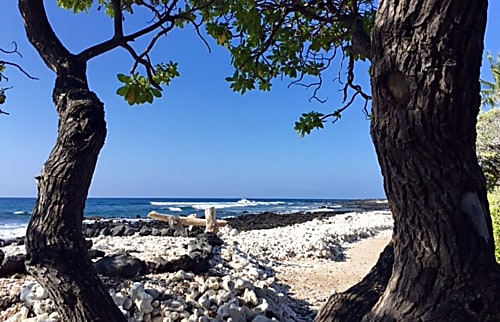 Shores at Waikoloa 121