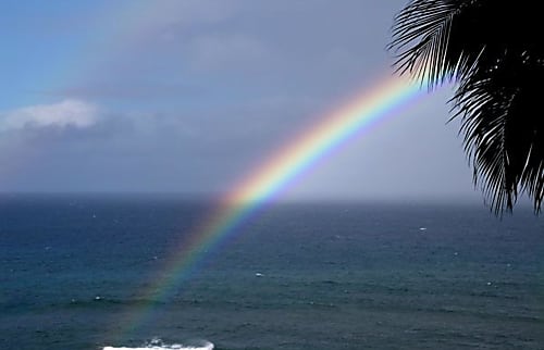 Maui Banyan Unit