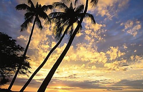 Aloha Hookipa Bayview Cottage