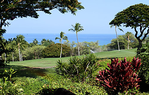 Kahaluu-Keauhou Ocean View Golf Course Condo