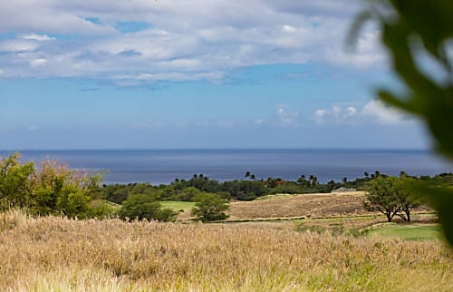 Hale Kaimana