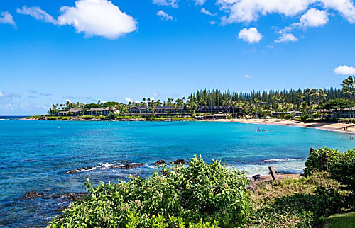 Napili Shores Resort E-243