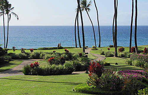 Wailea Elua # 1401