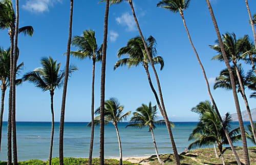 Hale Kai O'Kihei 310