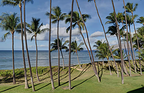 Hale Kai O'Kihei 309