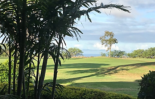 Waikoloa Fairway Villas End Unit Condo