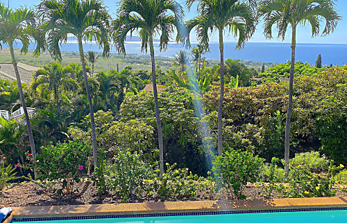 Maui Ocean Palms