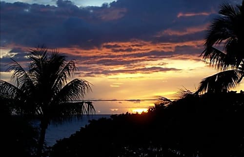 Maui Parkshore